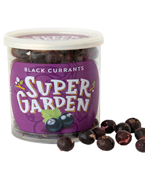 Freeze & Dried Black Currants