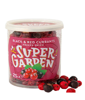 Freeze & Dried Black and Red Currants