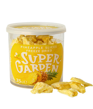 Freeze & Dried Pineapple Slices