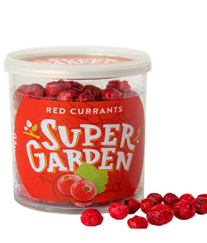 Freeze & Dried Red Currants