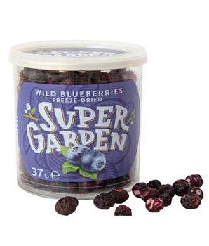 Freeze & Dried Wild Blueberries